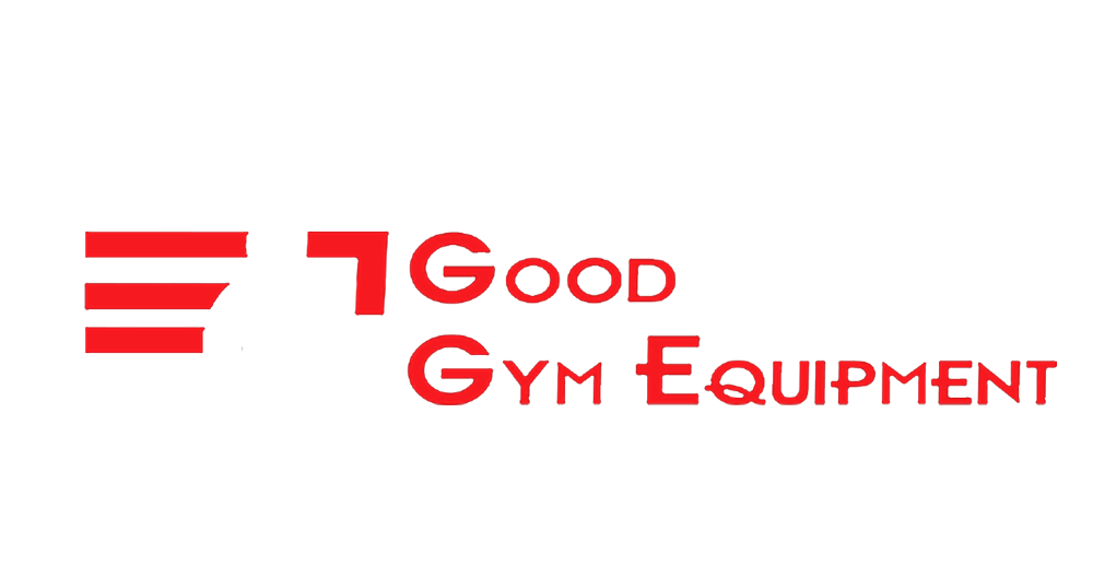 Eliptica Profesional Gym Factory EB8000 Autogeneradora 